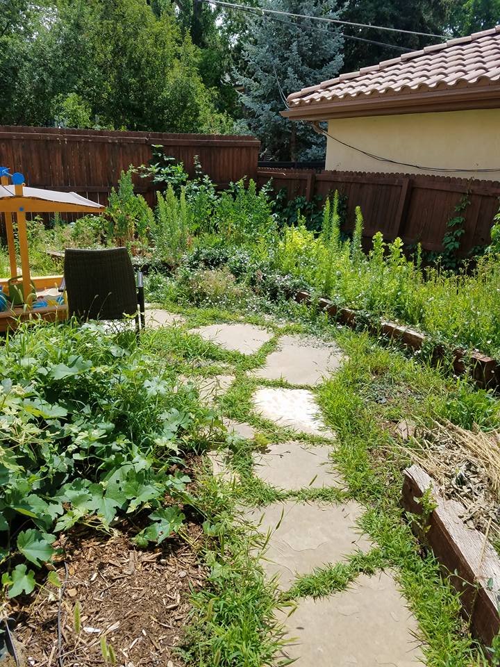 Home 468324202 10164560461157627 211834803492999049 n