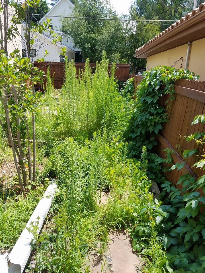 Home 468499713 10164560461137627 8553520001469154372 n