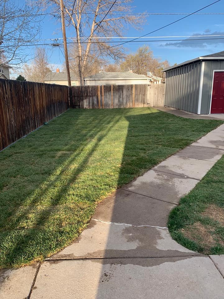 Home 95203094 10159805034832627 4786150527748538368 n